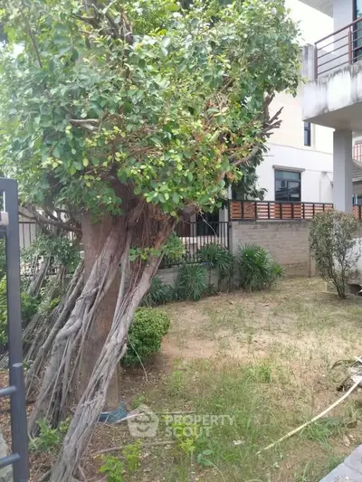 Charming garden area with lush greenery and mature trees in a residential property.