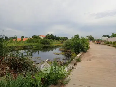 Scenic view of a serene pond next to a paved road in a tranquil neighborhood.