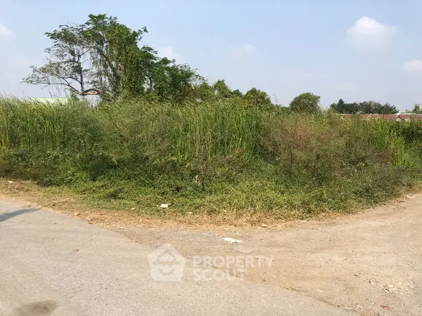 image_rental-26940679