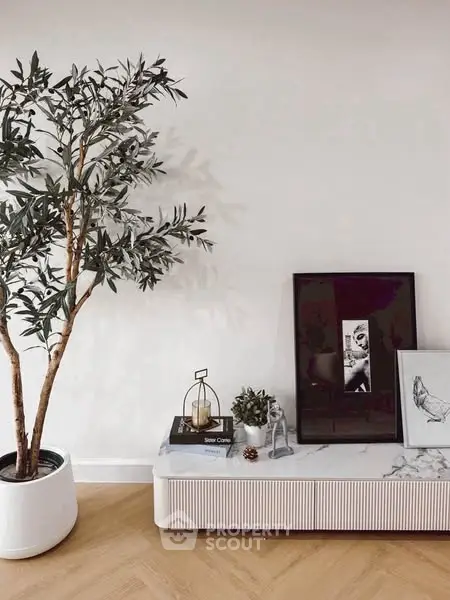 Stylish modern living room with elegant decor and indoor plant