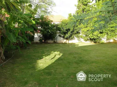 Spacious green garden with lush trees perfect for outdoor activities.