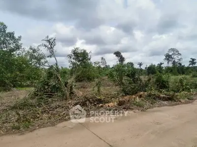 Expansive land plot with lush greenery, ideal for development or agriculture.