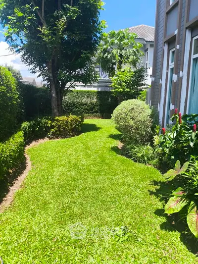 Lush green garden with vibrant plants and trees in a residential backyard.