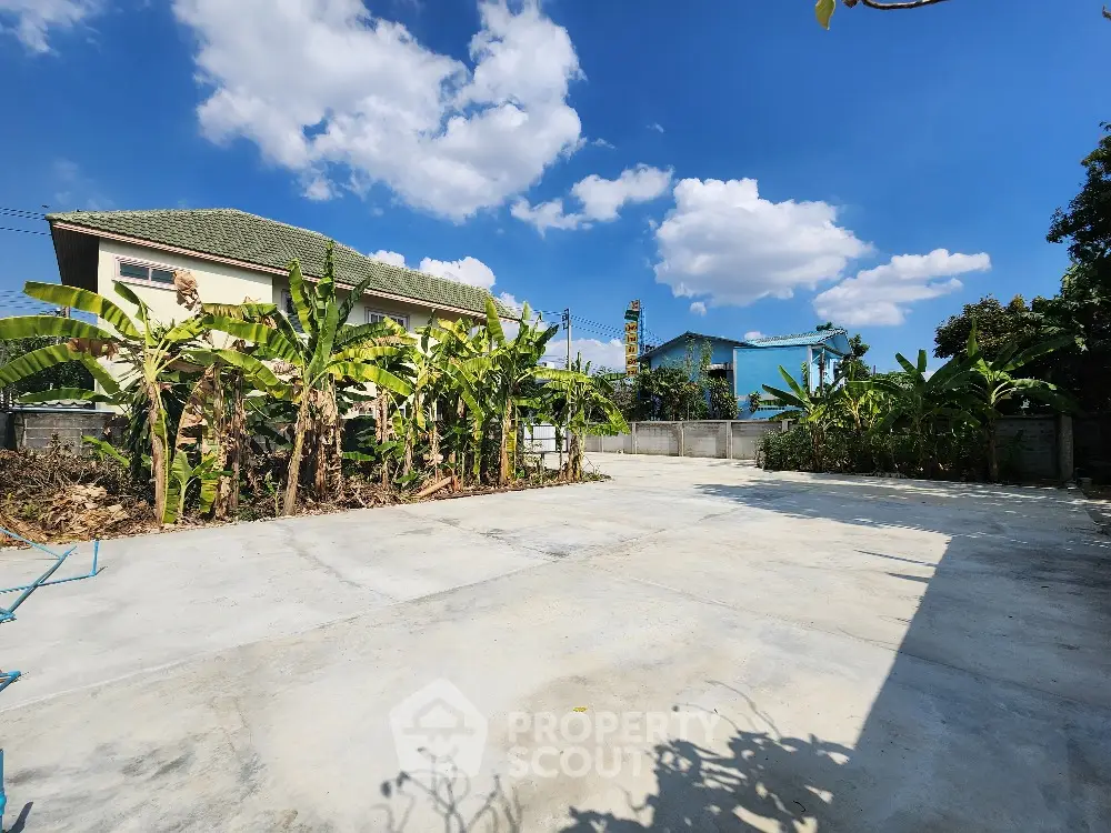 Spacious concrete yard with lush greenery and clear blue sky, perfect for outdoor activities.