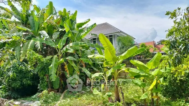 Charming suburban home surrounded by lush greenery and banana trees, offering a serene and tropical ambiance.