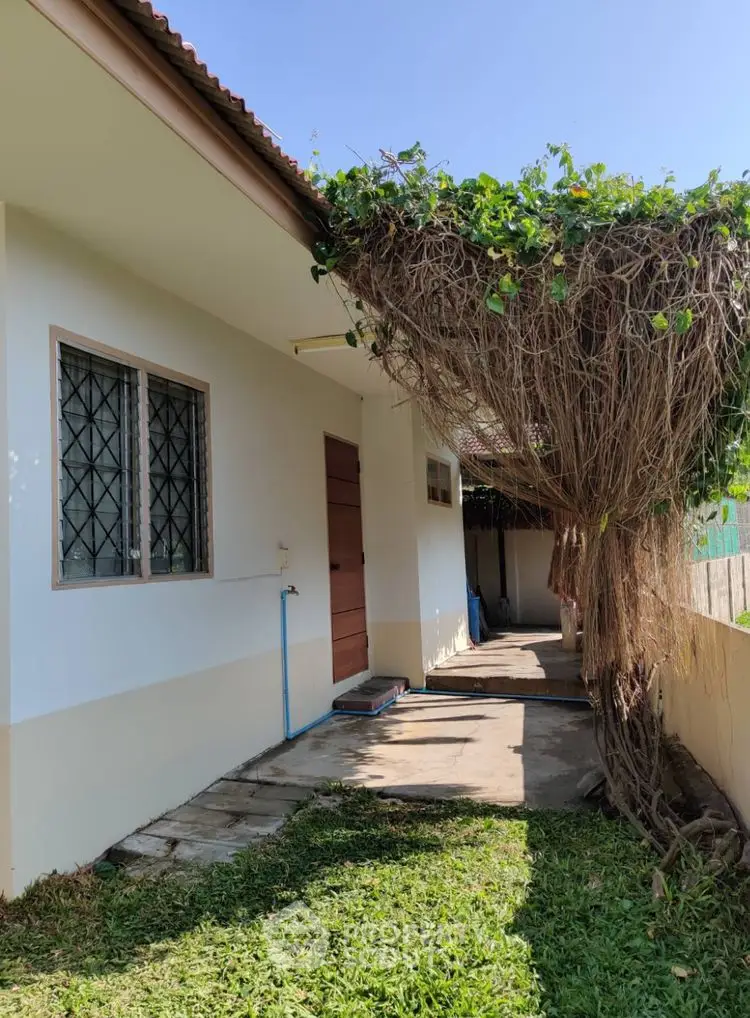 Charming exterior view of a house with lush greenery and vine-covered walkway.