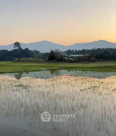 image_rental-27903794