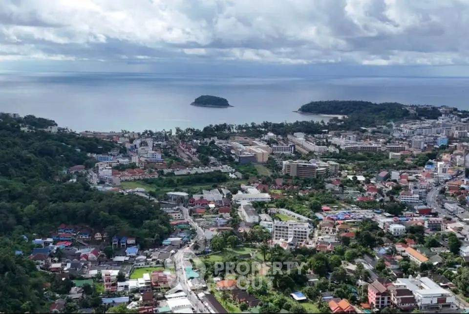 Stunning aerial view of coastal cityscape with lush greenery and ocean backdrop