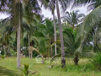 Lush tropical garden with tall palm trees and vibrant greenery