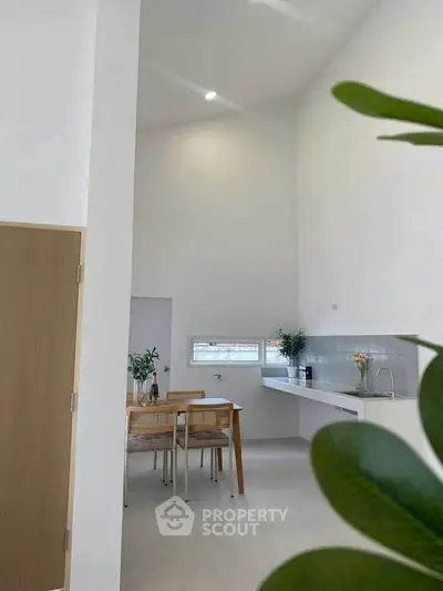 Modern minimalist kitchen with high ceiling and natural light