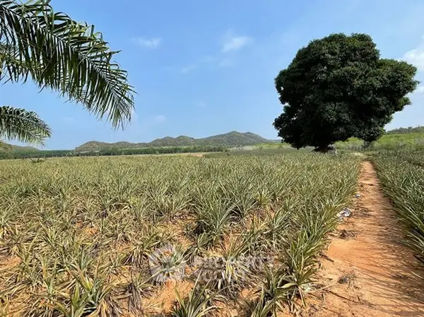 image_rental-27237428