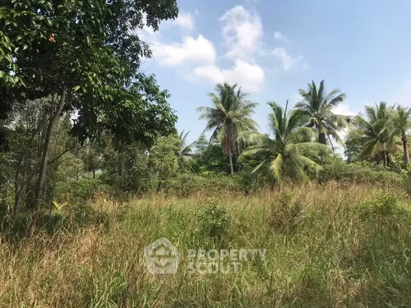 image_rental-11886523