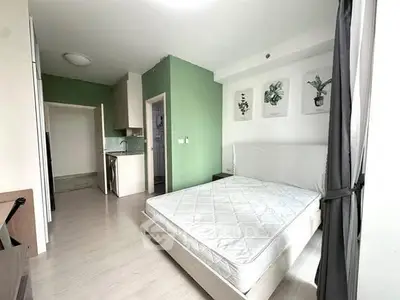 image_rental-31737237