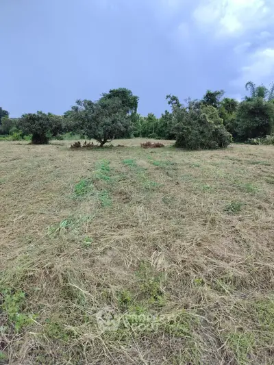 image_rental-27237192