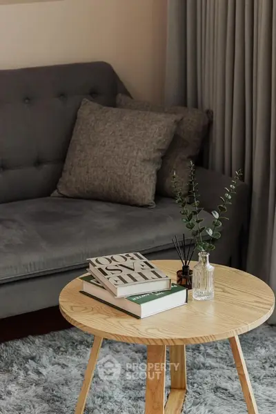 Cozy living room with stylish gray sofa and wooden coffee table