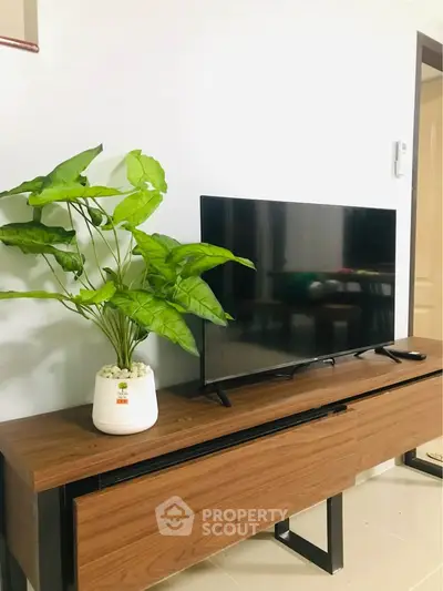 Modern living room with sleek TV stand and vibrant green plant