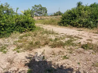 Spacious plot of land with lush greenery, ideal for development or agriculture.