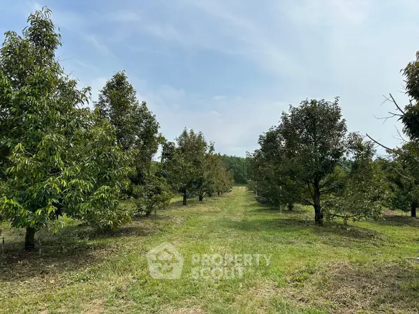 image_rental-36096972