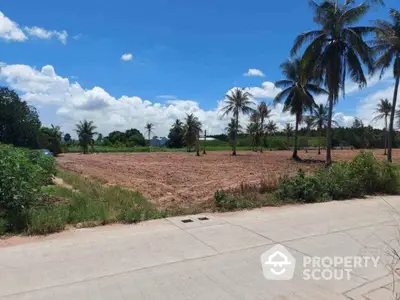 Expansive undeveloped land ready for investment, surrounded by lush palm trees under a clear blue sky, offering endless possibilities for construction.