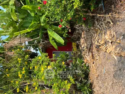 Charming red house surrounded by lush tropical greenery and vibrant flowers, offering a serene natural retreat.