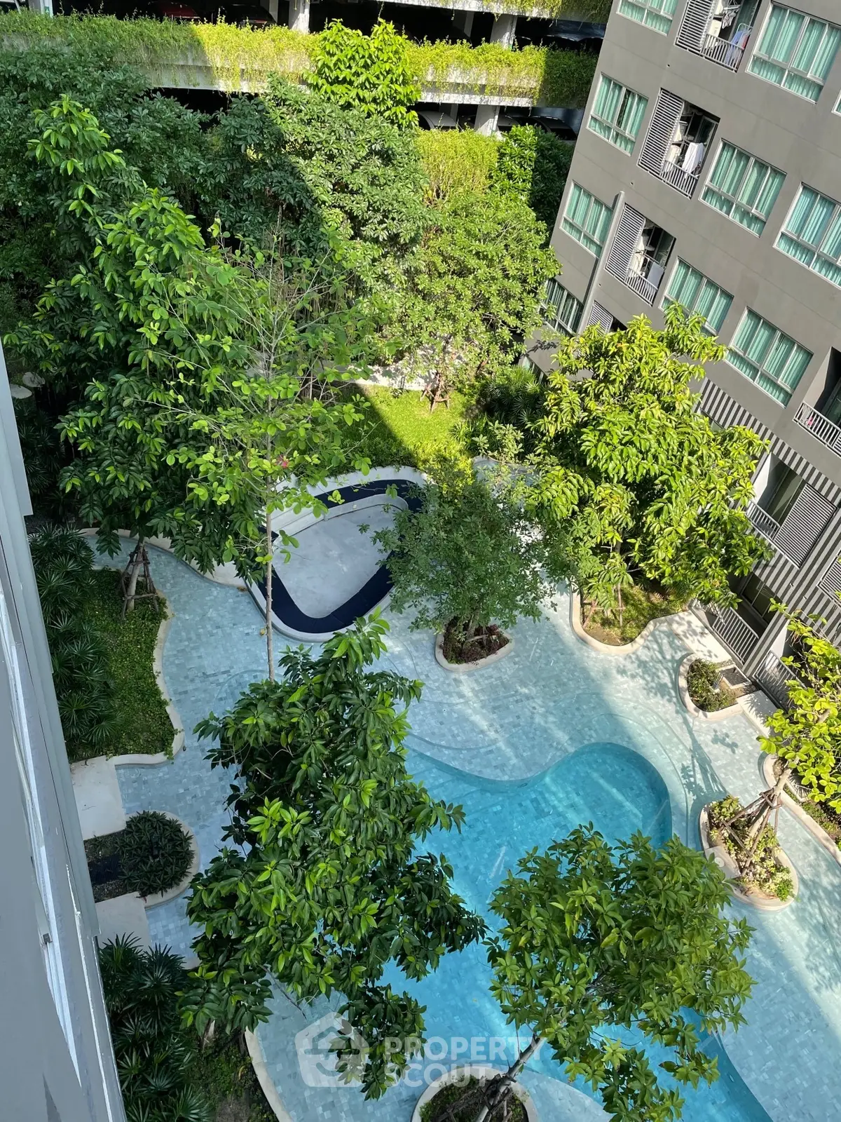 Stunning aerial view of modern residential pool surrounded by lush greenery and contemporary architecture.