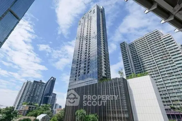 image_rental-30529032