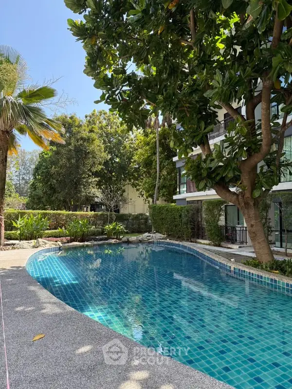 image_rental-31337124