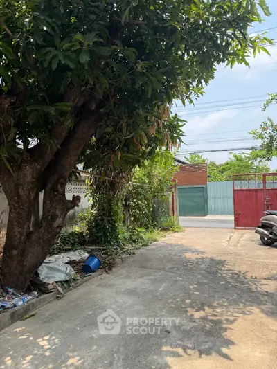 Charming residential driveway with lush greenery and secure gated entrance.
