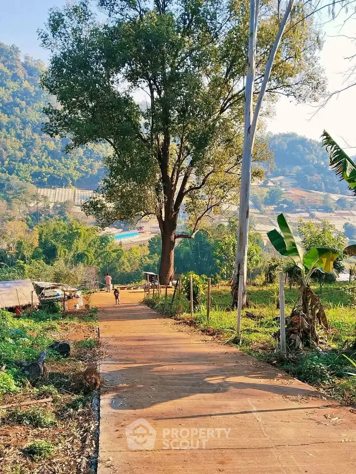 Scenic rural pathway with lush greenery and distant hills, perfect for nature lovers.