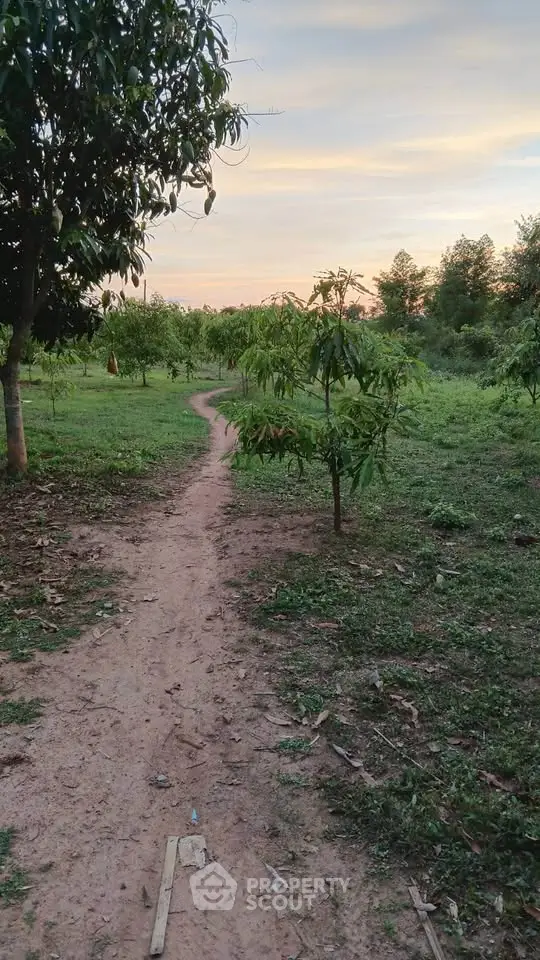 Serene garden pathway at sunset with lush greenery and trees.