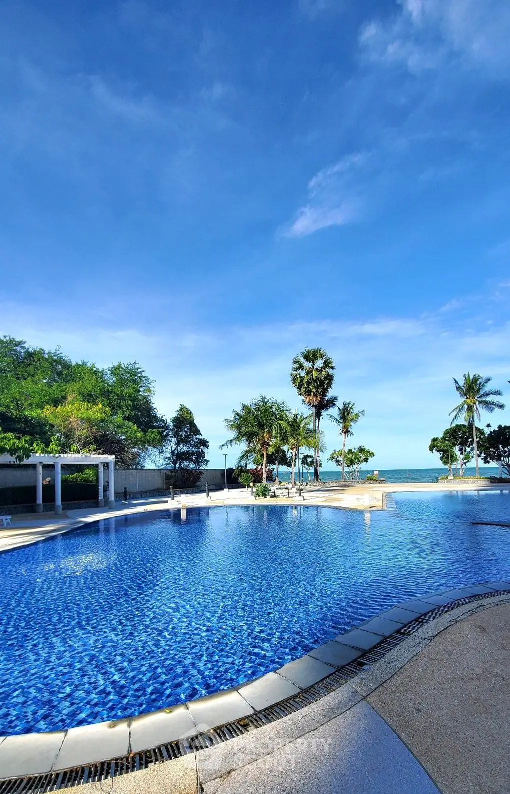 Luxurious beachfront pool with stunning ocean view and palm trees, perfect for relaxation and leisure.
