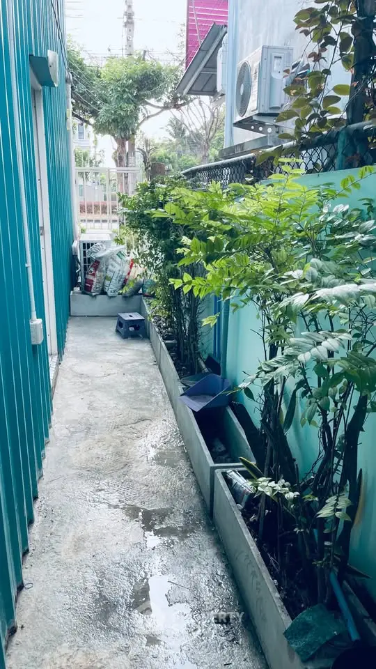 Narrow outdoor corridor with lush greenery and modern exterior walls, perfect for urban living.