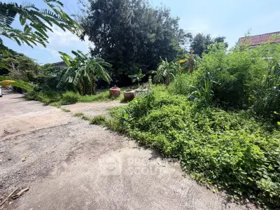 Spacious garden area with lush greenery and mature trees, perfect for outdoor activities.