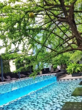 Luxurious outdoor pool area with lush greenery and modern design, perfect for relaxation and leisure.