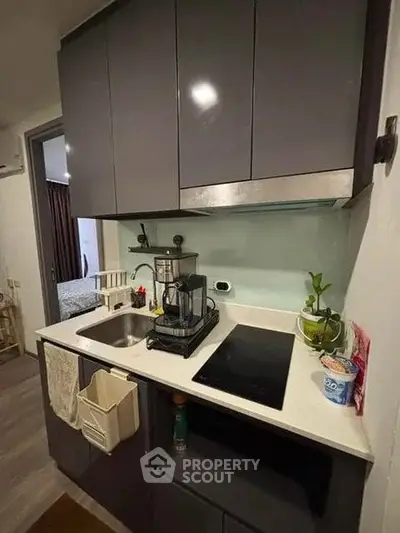 Modern compact kitchen with sleek cabinetry and induction cooktop