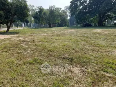 Spacious vacant land with lush greenery, ideal for development or investment opportunities.