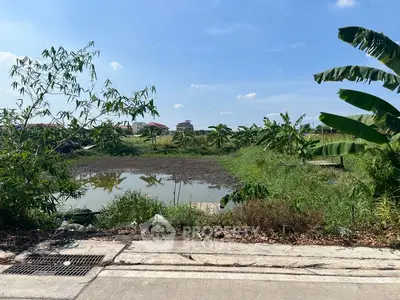 Vacant land with lush greenery and potential for development under a clear blue sky.