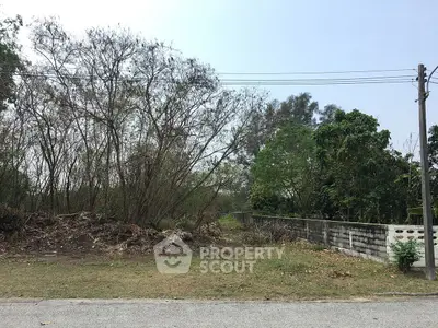 Vacant land plot with trees and boundary wall, ideal for development.