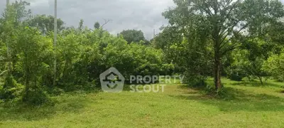 Lush green garden space perfect for landscaping or outdoor activities, offering serene natural surroundings.