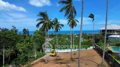 Scenic land plot with ocean view and palm trees, ideal for development.