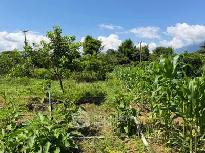 Lush green agricultural land with trees and crops under a clear blue sky, ideal for farming or development.