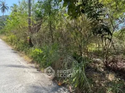 Screenshot 2569-02-12 at 12.55.22.jpg