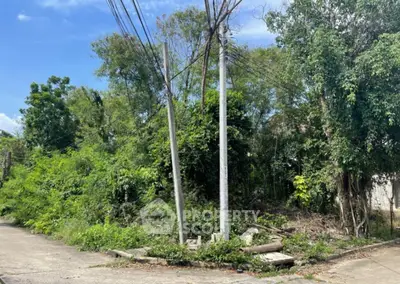 Screenshot 2025-12-23 123744.png