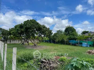 Spacious green land plot with trees under a clear blue sky, ideal for development.