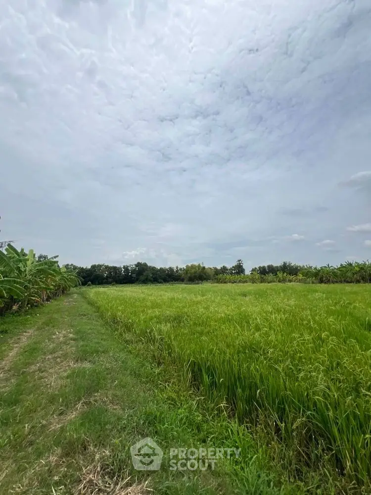 Expansive green field with lush vegetation under a cloudy sky, perfect for agricultural development.