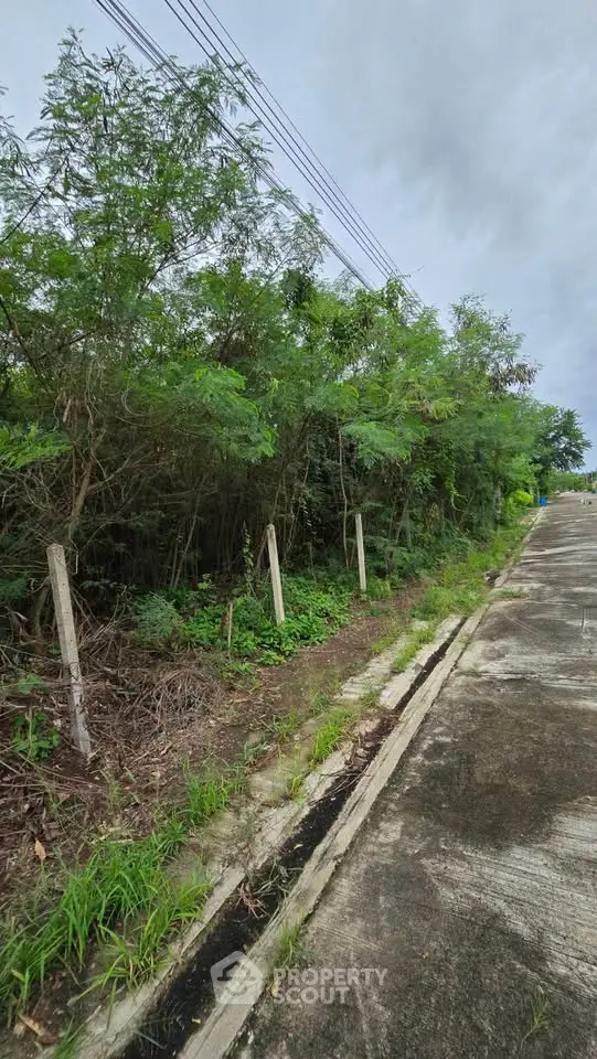 Vacant land plot with lush greenery and paved road access, ideal for development opportunities.
