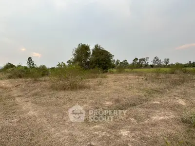 Expansive plot of land with natural greenery, perfect for development or investment opportunities.