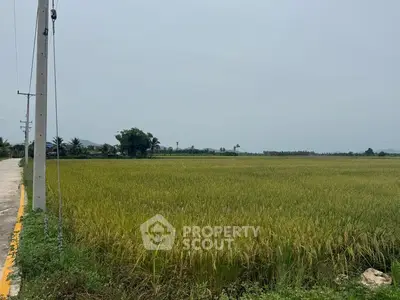Expansive agricultural land with lush green fields and distant trees, ideal for development.