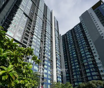 image_rental-30586137