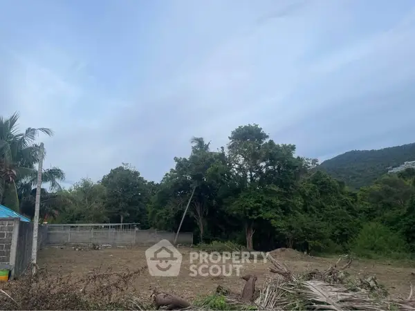 image_rental-27384865